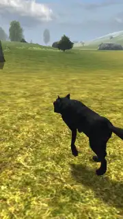 Wild Life: Wolf Clan captura 2