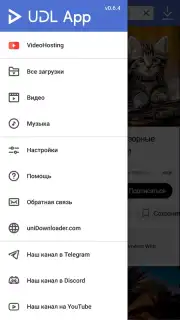 UDL App captura 7