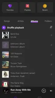 Mi Music captura 12