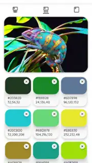 Color Palette captura 6