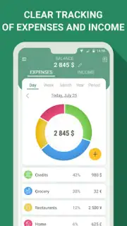 Money manager & expenses captura 8