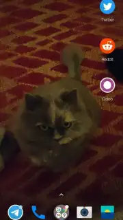 Transparent Screen & Live Wallpaper captura 4
