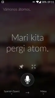 Microsoft Translator captura 1