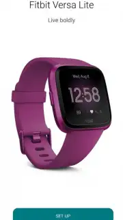 Fitbit captura 3