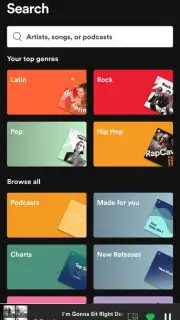 Spotify captura 21