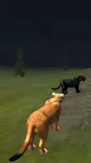 Puma Survival captura 2