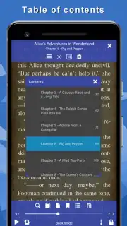 TTS Reader captura 2