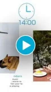 Jorte captura 1