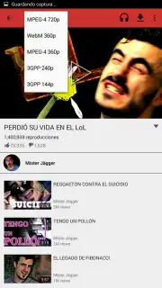 VidTube captura 4