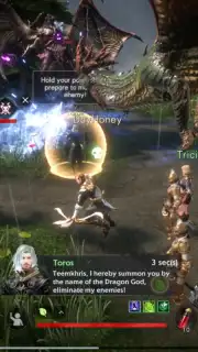 Bless Global captura 8