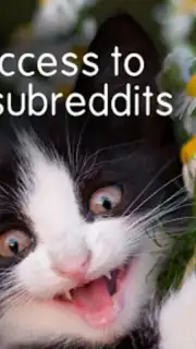 BaconReader for Reddit captura 3