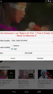 OGYouTube captura 3