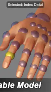 Hand Mannequin captura 7