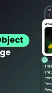 AI Chat captura 12