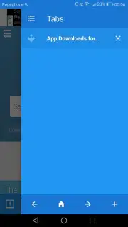 Fast Browser captura 3