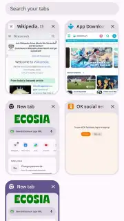 Chrome Beta captura 19