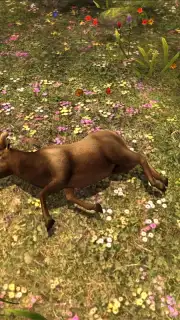 Deer Hunter Classic captura 4