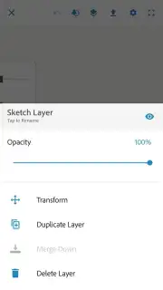 Adobe Photoshop Sketch captura 7