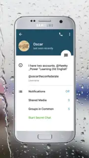Via Messenger - Unofficial Telegram App captura 12