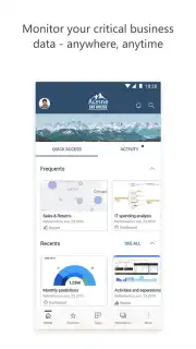 Microsoft Power BI captura 1