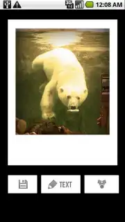 Polaroid PoGo App captura 2