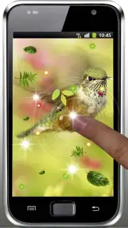 Colibri Spring 3D LWP captura 1