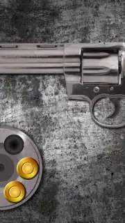 Best Russian Roulette captura 2