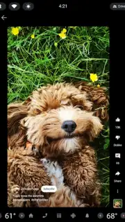 YouTube (Android Auto) captura 2