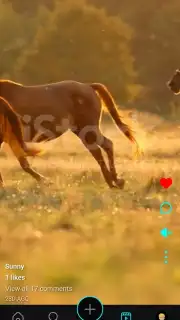 Neogram captura 5