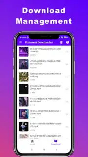 Downloader for Pinterest captura 2
