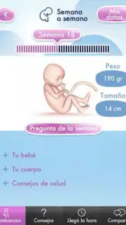 Mi Embarazo captura 4