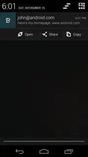 Belt.io captura 7