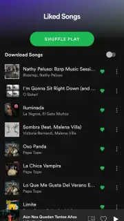 Spotify captura 17
