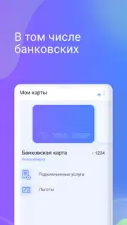 Транспортная карта captura 1