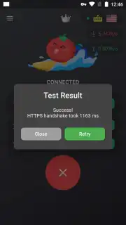 VPN Tomato captura 2