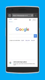 Browser 8G captura 5