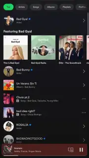 Spotify captura 6