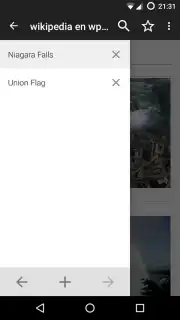 Kiwix offline captura 3