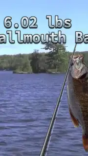 i Fishing 3 Lite captura 2