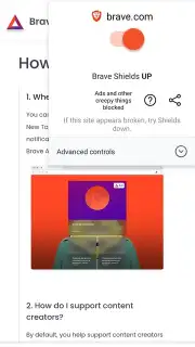 Brave Browser captura 4