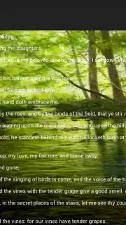 Holy Bible King James Version captura 1