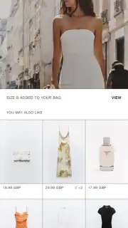 Zara captura 8