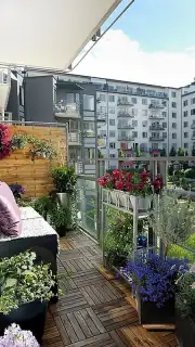 Garden Design Ideas captura 2
