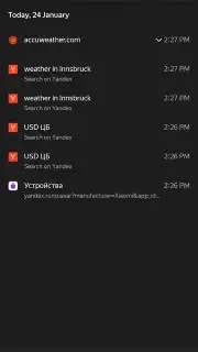 Yandex captura 5