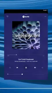 Bose Music captura 2