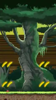 Banana Kong captura 11
