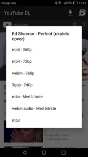YouTube-DL captura 1