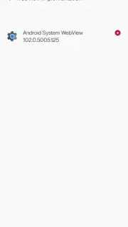 Android System WebView captura 14
