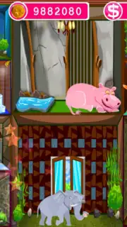 Pet Hotel captura 1