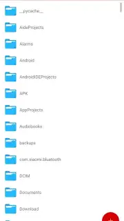 SV File Manager captura 3